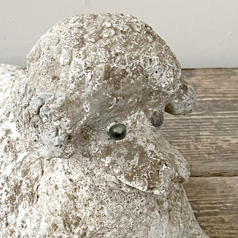 Concrete Poodle