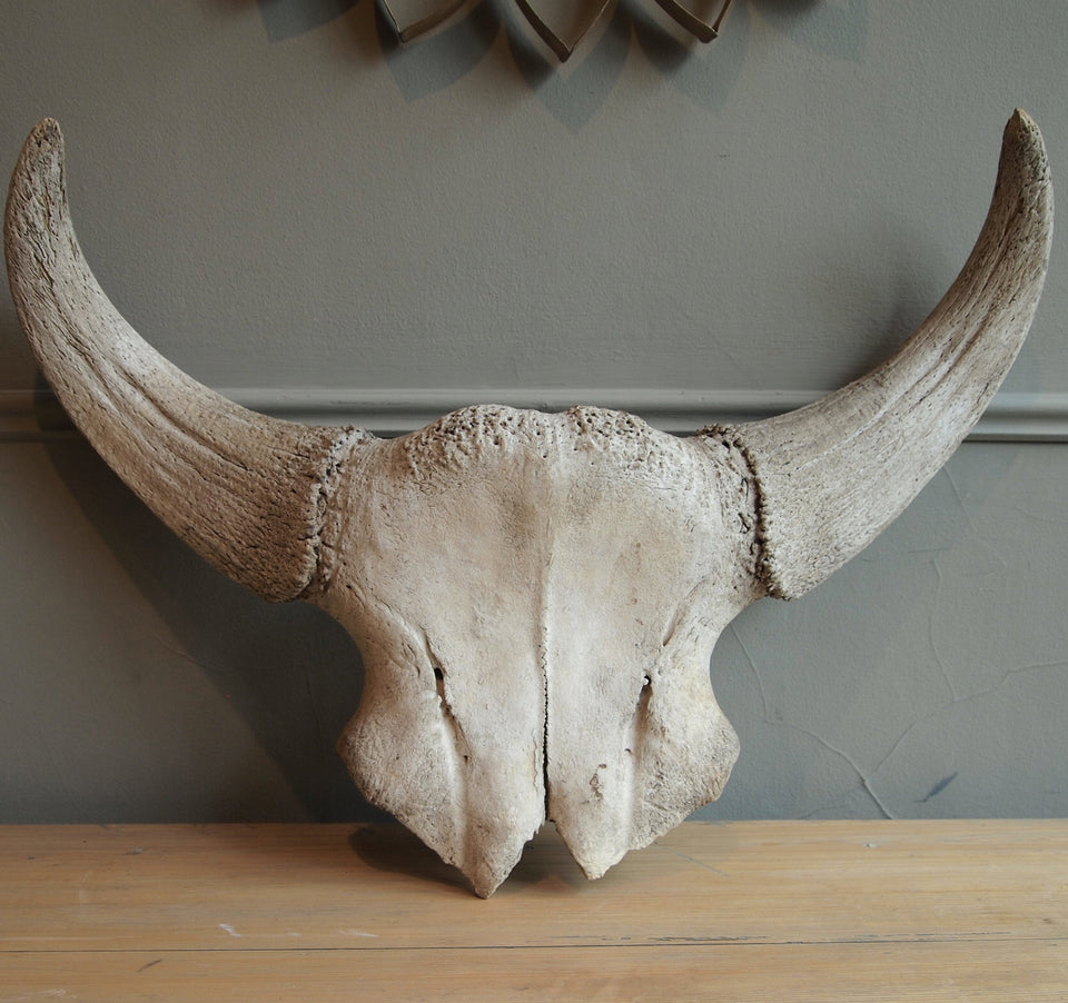 Horns