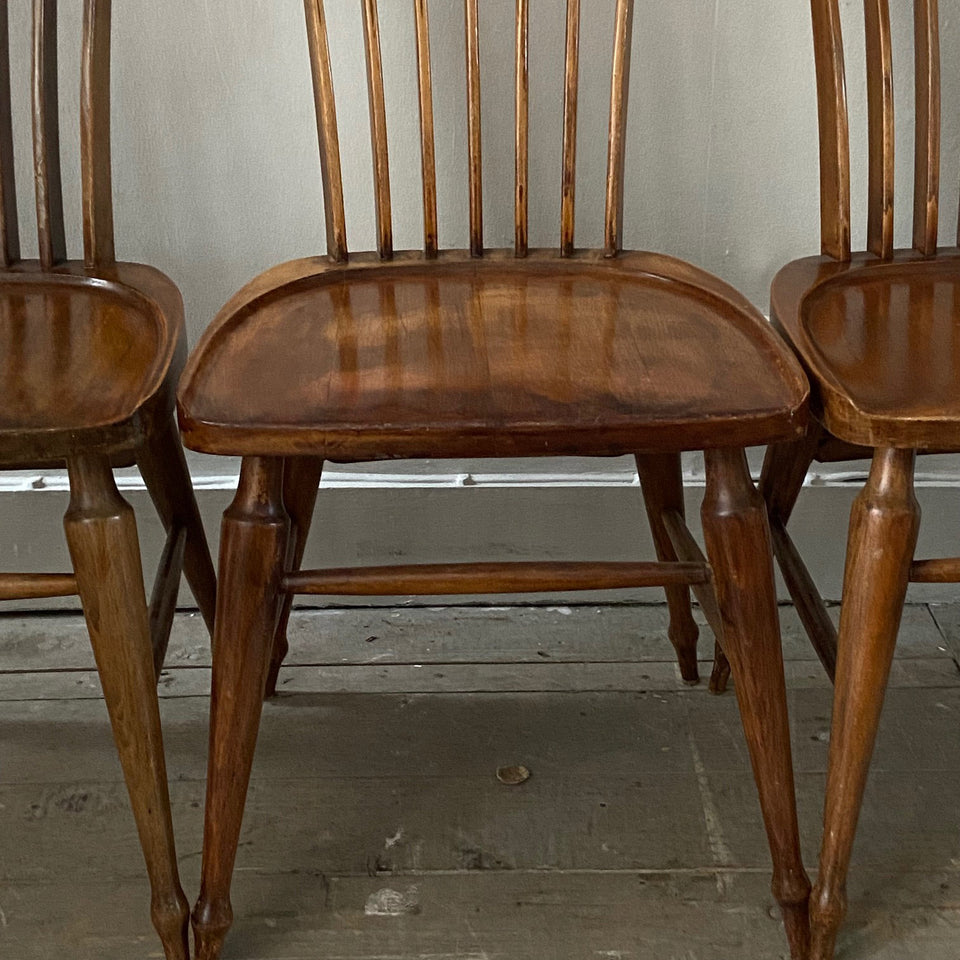 Italian Dining Chairs