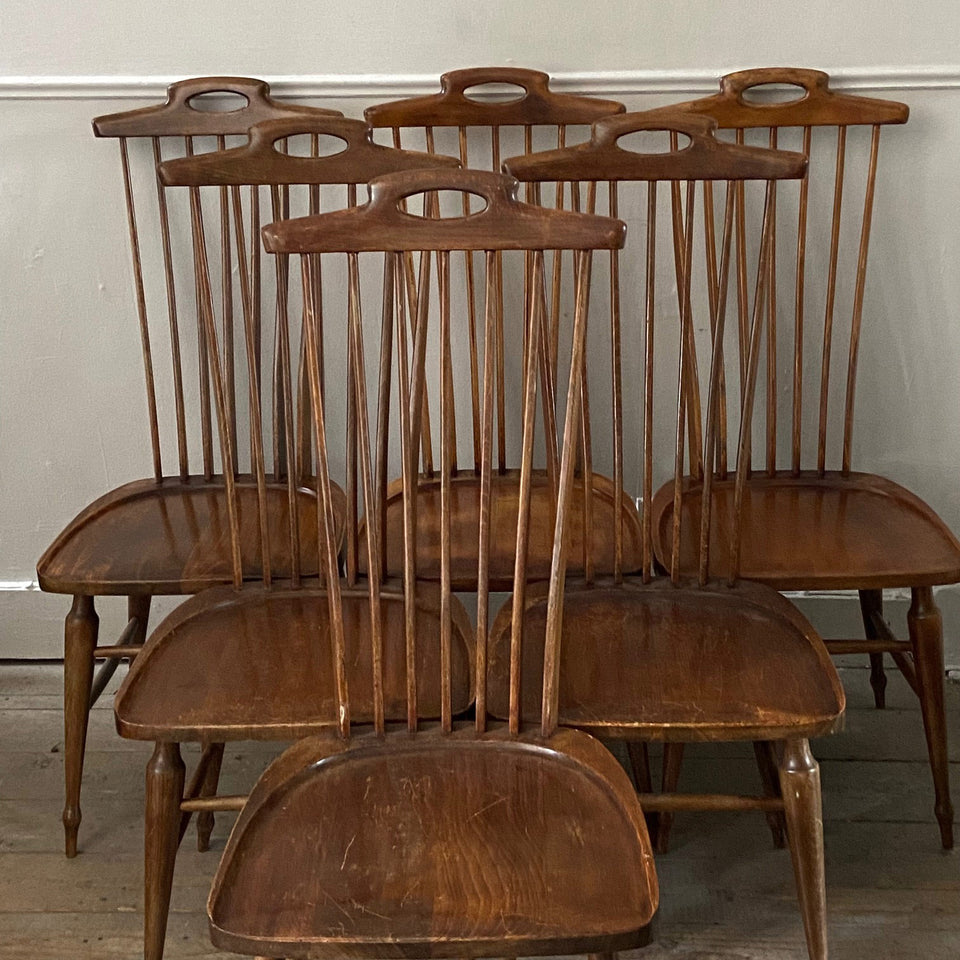 Italian Dining Chairs