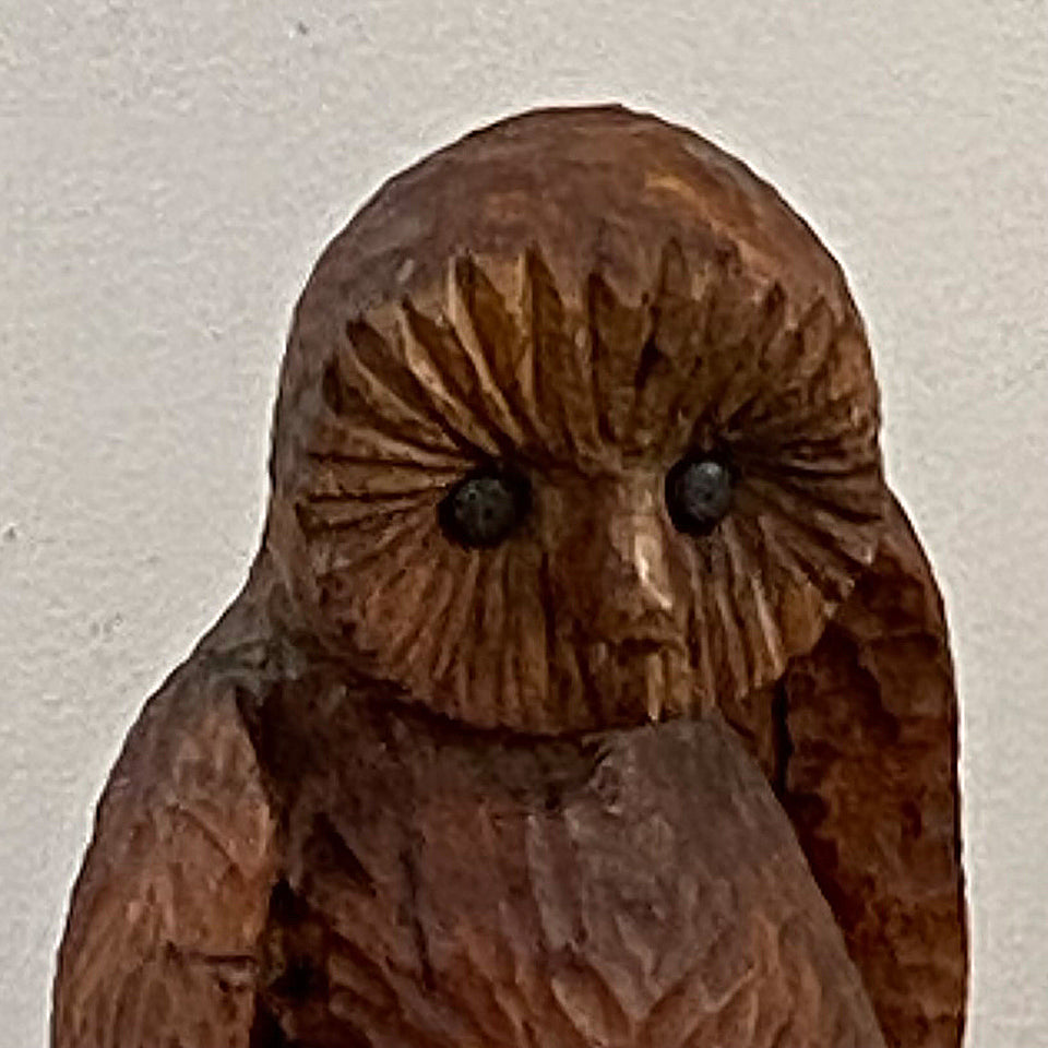 Owl