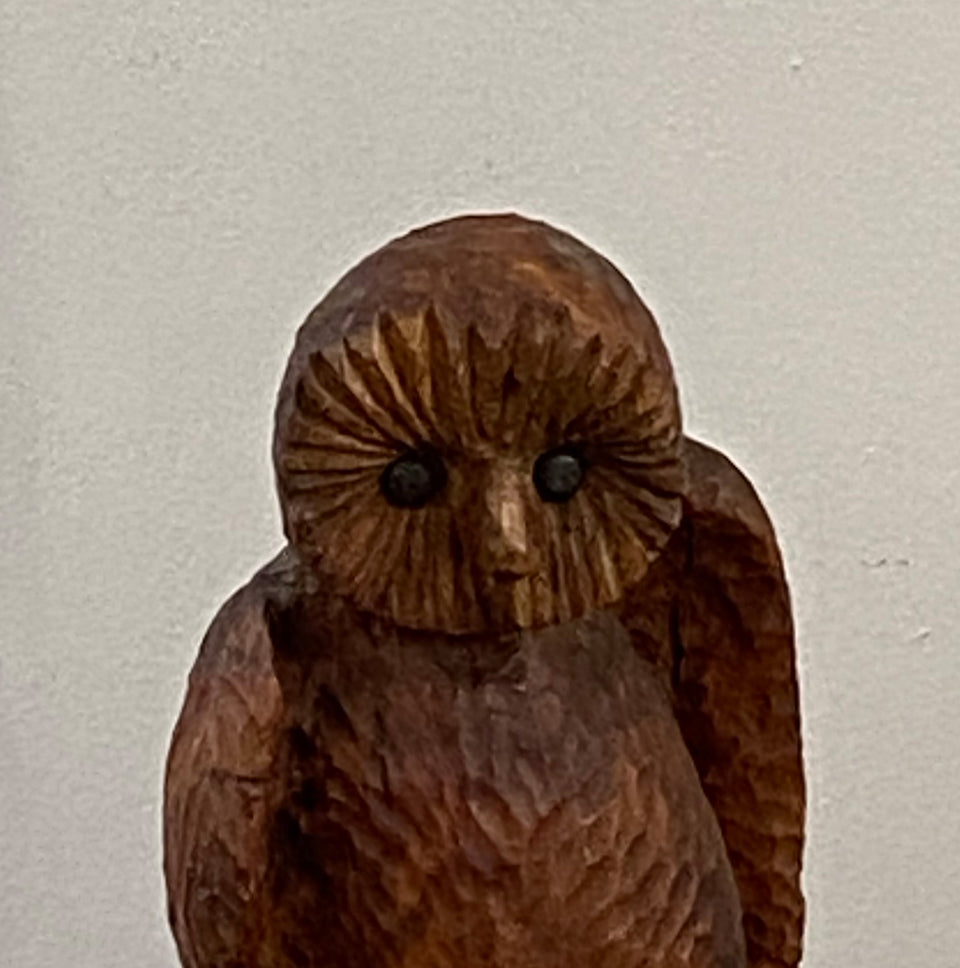Owl