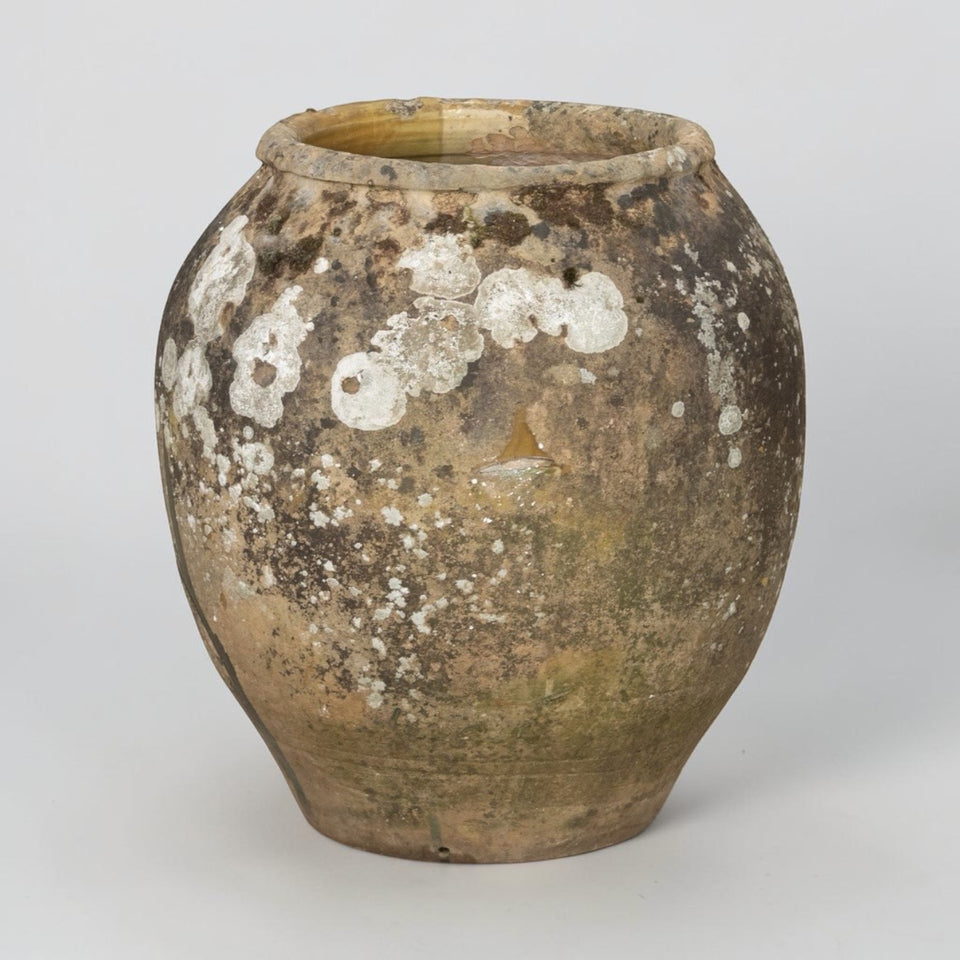 Biot Pot